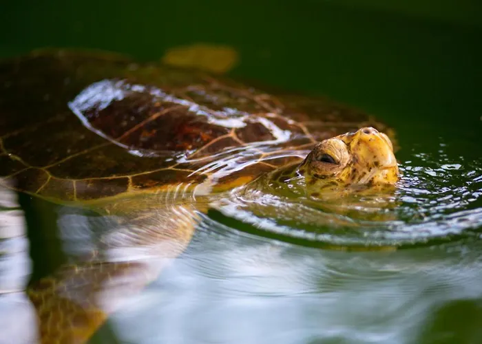 Вилла Exclusive Paradise 2 *