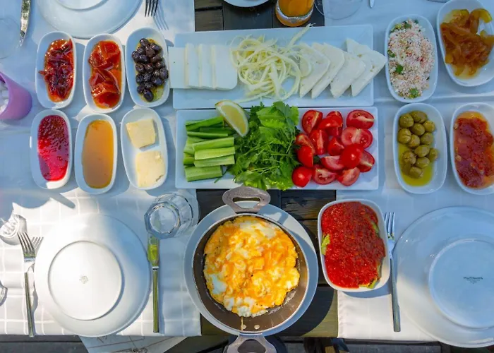 Exclusive Paradise 2